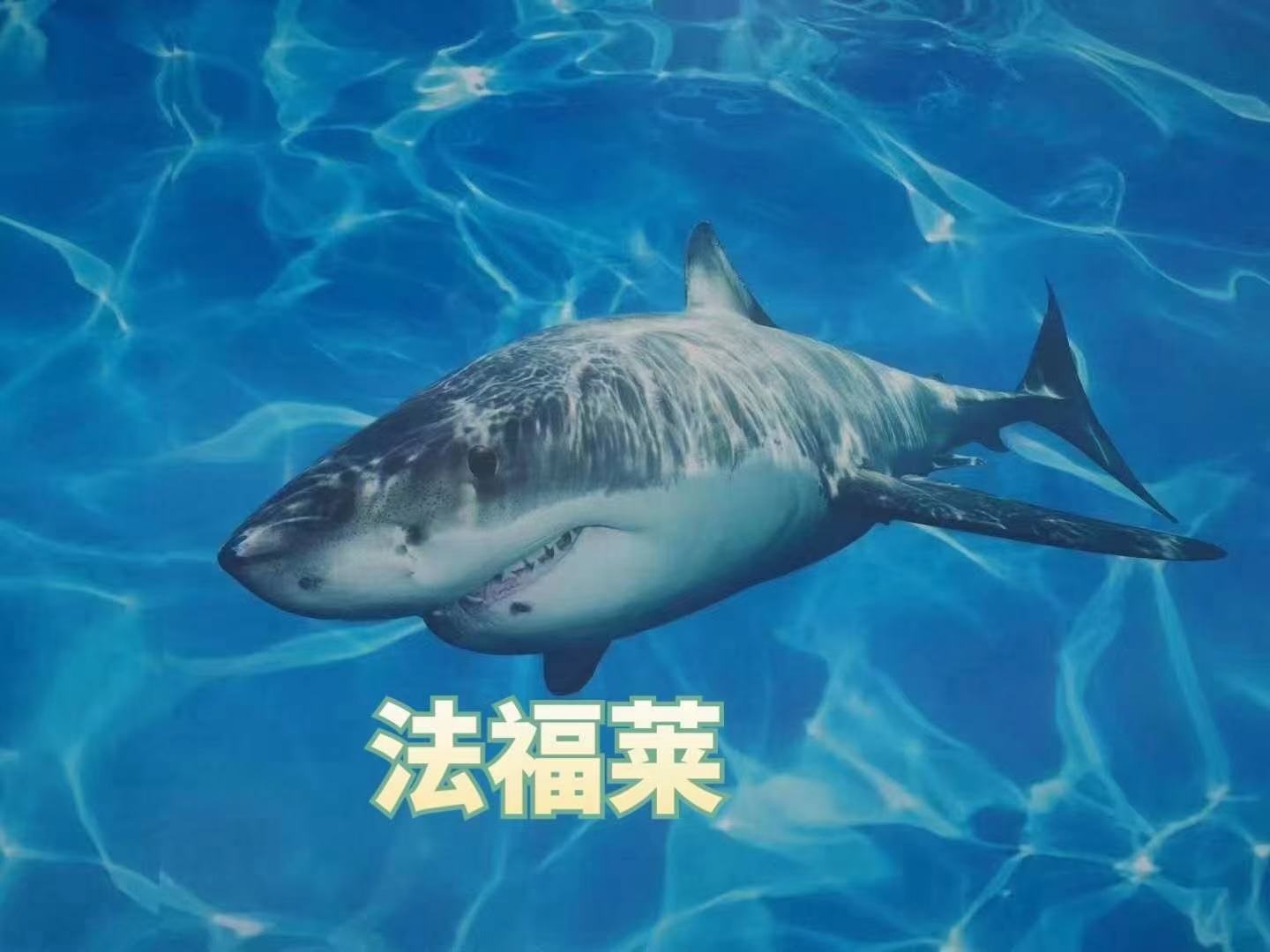 關(guān)于PVC地板的幾項(xiàng)錯(cuò)誤認(rèn)知，您有過(guò)嗎【騰方PVC地板】