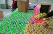彩色文具膠帶